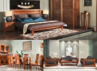 更严环保要求 更高绿色期待南洋胡氏 全球健康家居资源整合者