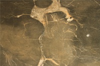 安华瓷砖维纳斯金