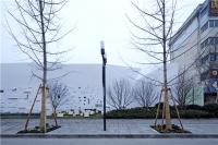 大匀新作 | 用博物馆特质塑造售楼空间