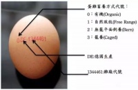 鸡蛋都有“身份证” 德国对待食品安全严谨得可怕