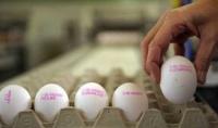 鸡蛋都有“身份证” 德国对待食品安全严谨得可怕