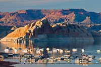 国人移民竟不是坏事：美国移民指标中国占九成！