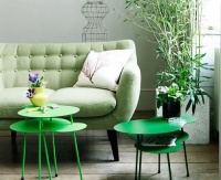 绿植也会影响风水 客厅植物摆放禁忌