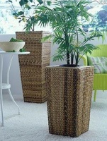 绿植也会影响风水 客厅植物摆放禁忌