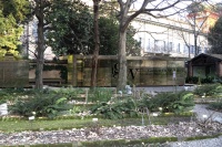 米兰展 到奇迹花园来一场气味的旅行