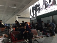 结束游学 满载而归