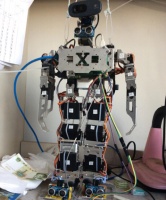 想怎么玩就怎么玩 机器人创想秀召集“行动派”