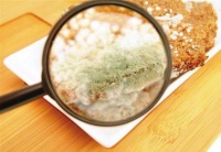 布朗新风，美国原装进口新风主机