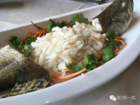 马楚成导演的美食分享——香港篇