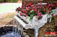 至IN老房翻新&旧物改造指南