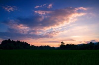 清朝皇帝每个月要在吃饭这件事上砸多少钱