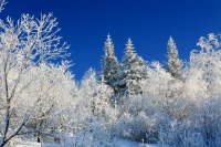 南北结婚风俗差异比拼：越穷越讲究？