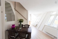 世界这么大 我想去住住 Airbnb上的有爱民宿