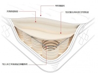 斯林百兰自然舒睡系列全新上市