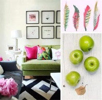 无法阻挡那一抹高贵的妖娆 绚丽色彩装修效果图