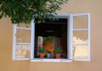 绿色装修保健康 甲醛去除法大搜罗