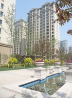 枫丹天城实景呈现 演绎醇熟品质生活