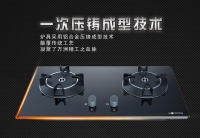 万洲荣膺广东厨电十大品牌前五强