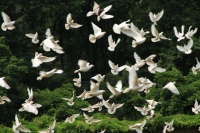 如此开业盛典，你见过吗？