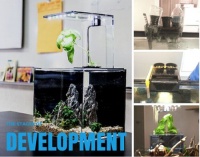 养鱼无需换水 500元LED鱼缸果真如此强大？