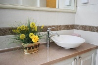 净化除味妙招 14款卫生间植物看图摆放