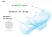 开启竹媛美丽的邂逅：我们因“媛”而遇见