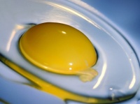 英国王室竟然钟情于吃鸡蛋！