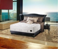 金可儿推出一体化成型分区乳胶床垫