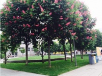 主编看世博day2：