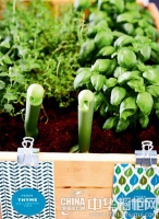 “吃货”的健康厨房 食物收纳之法别说我没告诉你