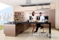 箭牌橱柜悍马印象 后现代奢华风格典范