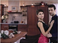 中国绿色厨卫先行者现代：2015订单量直线激增