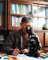 中国林科院木材研究所专家杨家驹谈桢楠