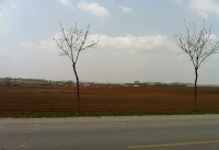 骑行400公里 宋广生探寻近日大范围沙尘原因