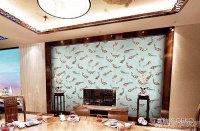 壁高 | 健康就是美，让呼吸再“森”一点