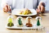 养眼养胃兼容的时尚厨房 潮人的创意秀场