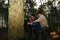 CCTV《筠连桢楠》摄制组：筠连探底桢楠