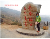 张萍：创办信息咨询公司、拨云见日指点迷津