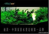 水草造景成也水草，败也水草