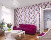 德国朗饰壁纸：壁纸会发霉 美丽的误会