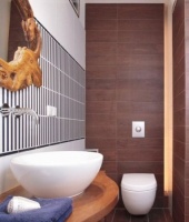 紧凑型小卫浴 空间收纳有绝招！