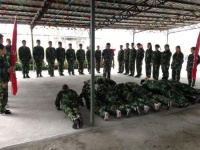 530女神当家日战前大训——传世神威再显