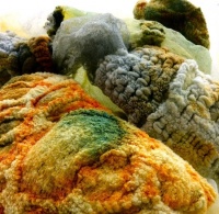 未来新衣裳让你即刻拥有强健的体魄