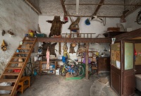 maria papadimitriou将动物标本店从希腊带到威尼斯艺术双年展