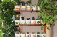 导购：明媚夏日里，在阳台遇见你最美的花园