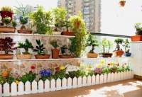 导购：明媚夏日里，在阳台遇见你最美的花园