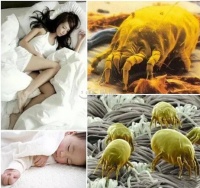 HTB科技家纺：别让自己睡在螨虫与细菌上