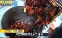 日本网民为何疯狂吐槽中国小龙虾洗衣机