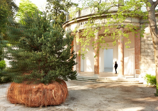 Céleste Boursier-Mougenot在威尼斯艺术双年展上构建活力森林