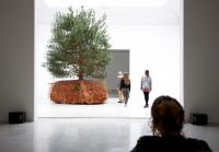 Céleste Boursier-Mougenot在威尼斯艺术双年展上构建活力森林